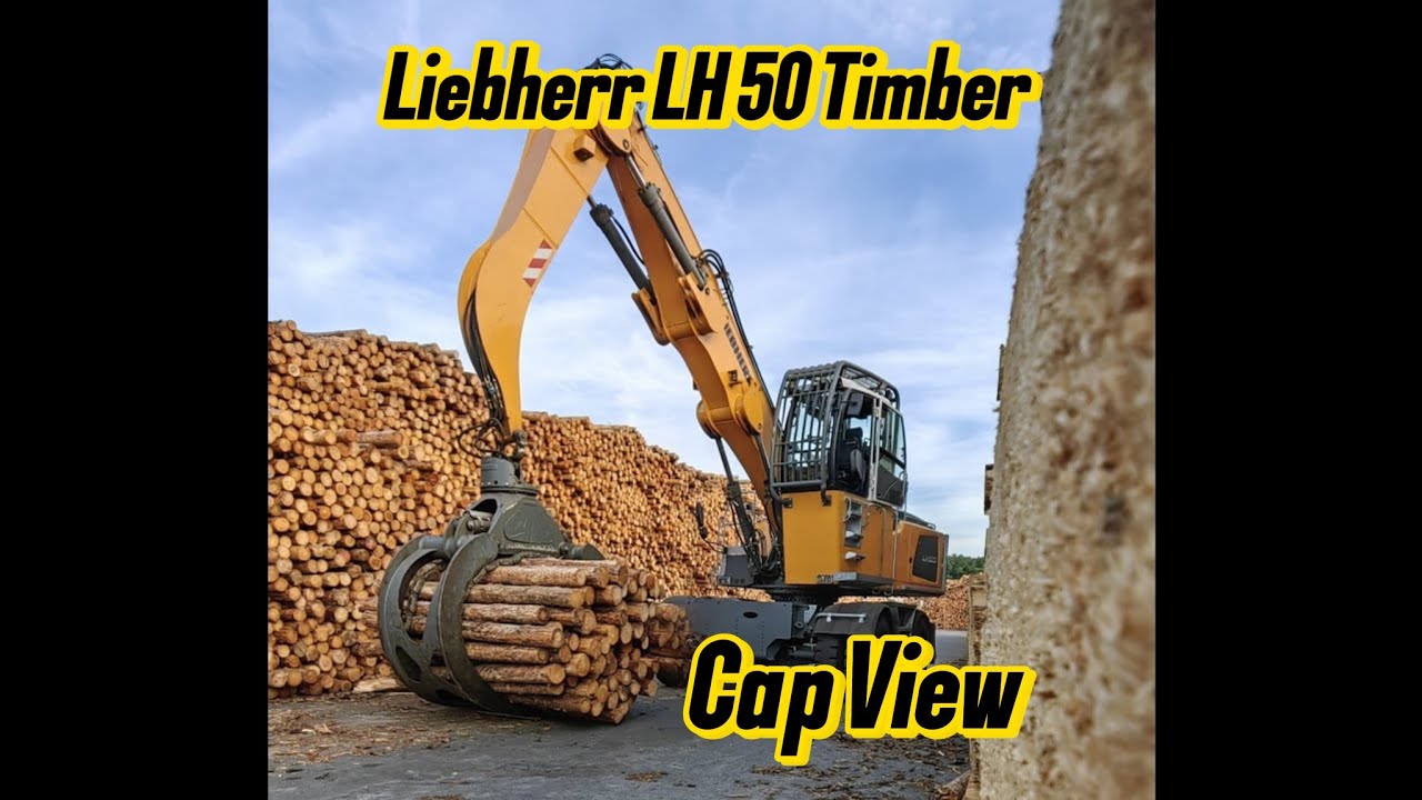 Liebherr LH 50 Timber Bagger Kabinen Ansicht