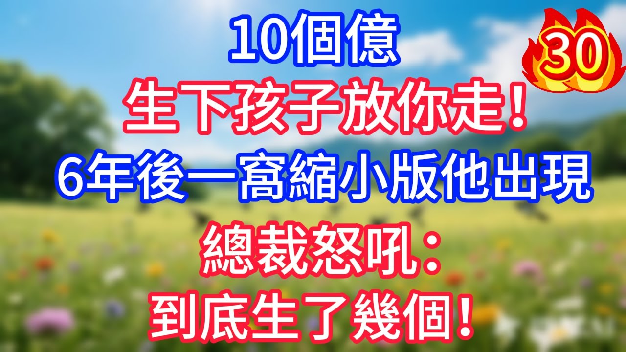 第三十集：10個億，生下孩子放你走！6年後一窩縮小版他出現，總裁怒吼：到底生了幾個！