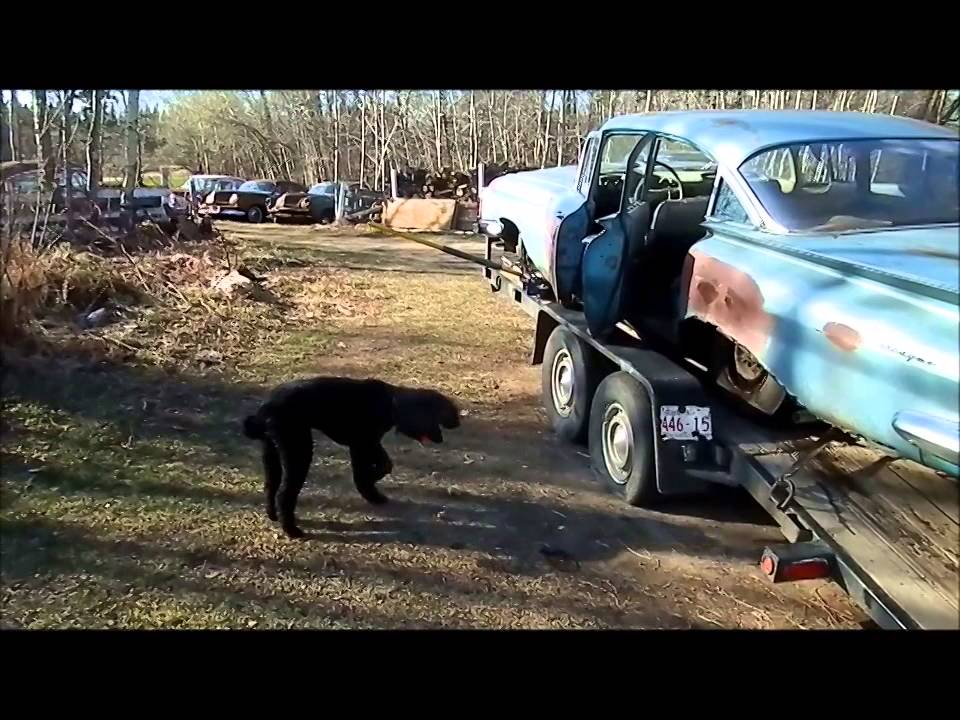 Will it Run? Episode 18: 1959 Chevy Biscayne! Part 1 of 3