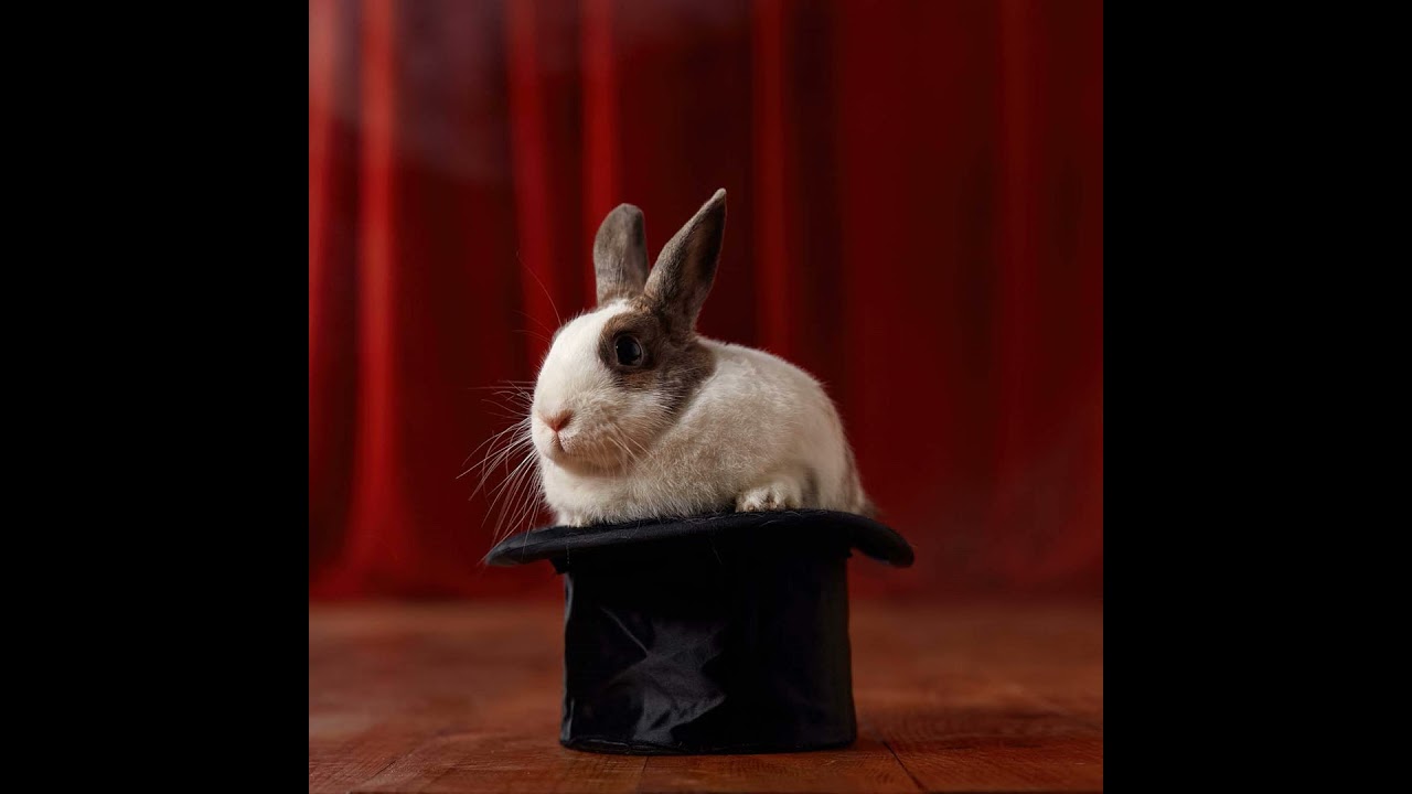 How Should We Explain “Magic” in Movies to Our Kids? (The Patrick Madrid Show)