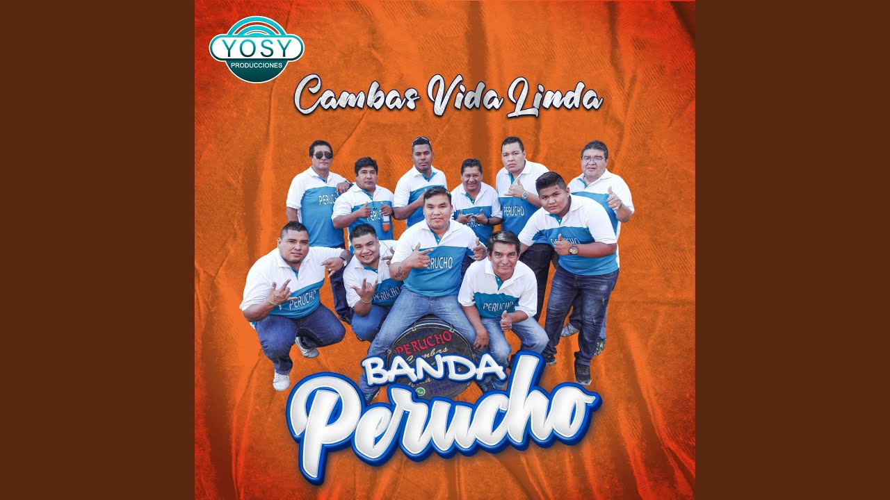 Voce partiu meu corazon