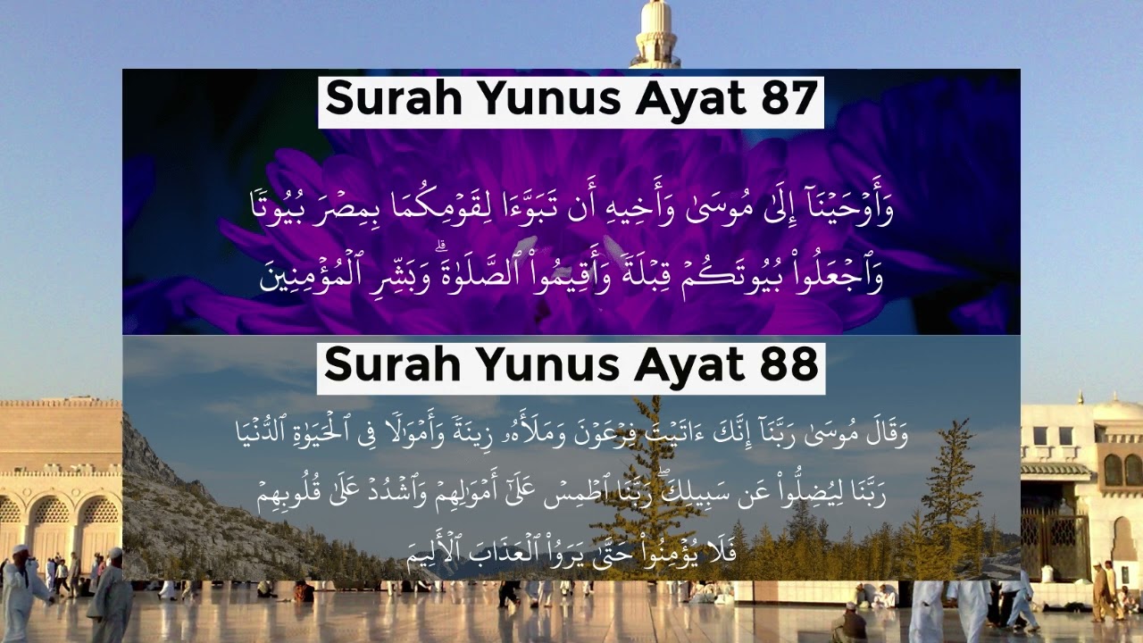 Surah-Yunus-Ayat-87 88: 11 #bayan #pashtobayan #islamicscripture #voiceeffects #pashtobayan