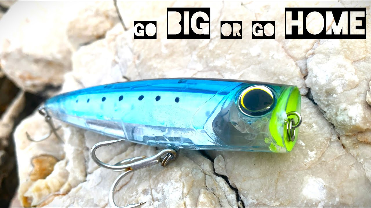 Angeln in Kroatien, dicke KÖDER= dicke FISCHE???