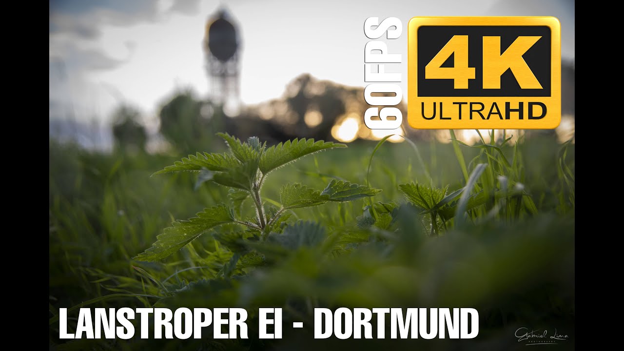 Lanstroper Ei - Dortmund