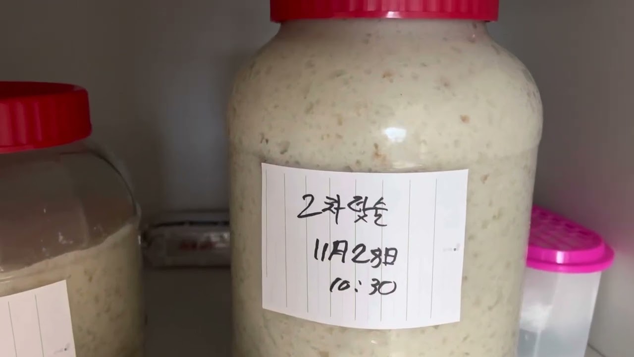 택 인 막걸리월드?