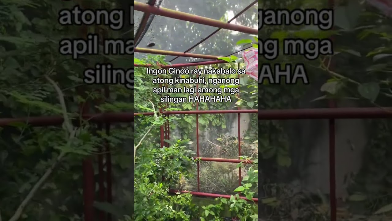 Whahaahaha #lifeinph #shortsviral