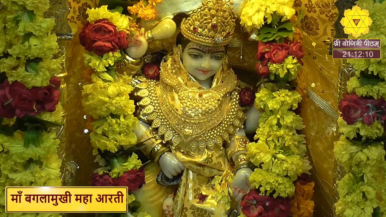 माँ बगलामुखी आरती पूजन कवच एवं सिद्ध मंत्रों का पाठ एवं लाइव दर्शन करिये