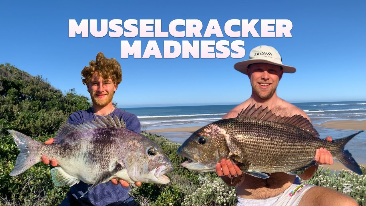 MUSSELCRACKER MADNESS: 3 days of INSANE fishing!