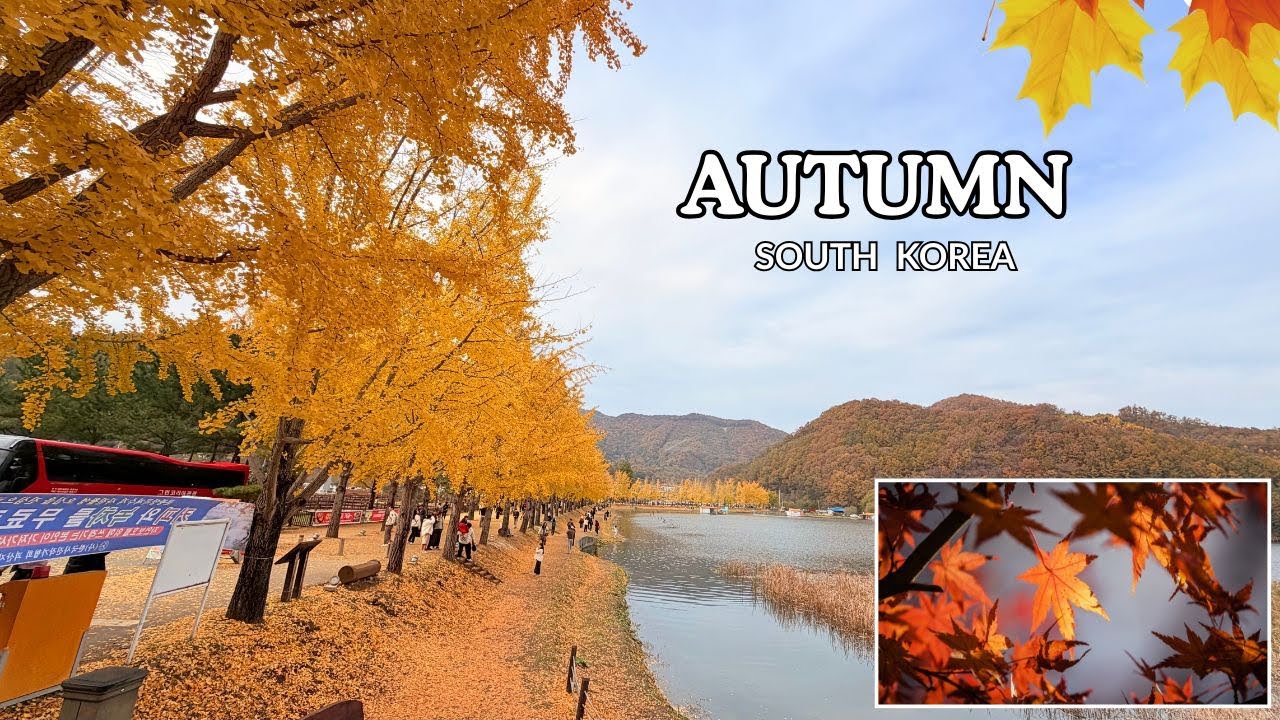 Autumn in Korea //कोरिया पुरै रंगीचंगी भएको छ // Anil Gurung
