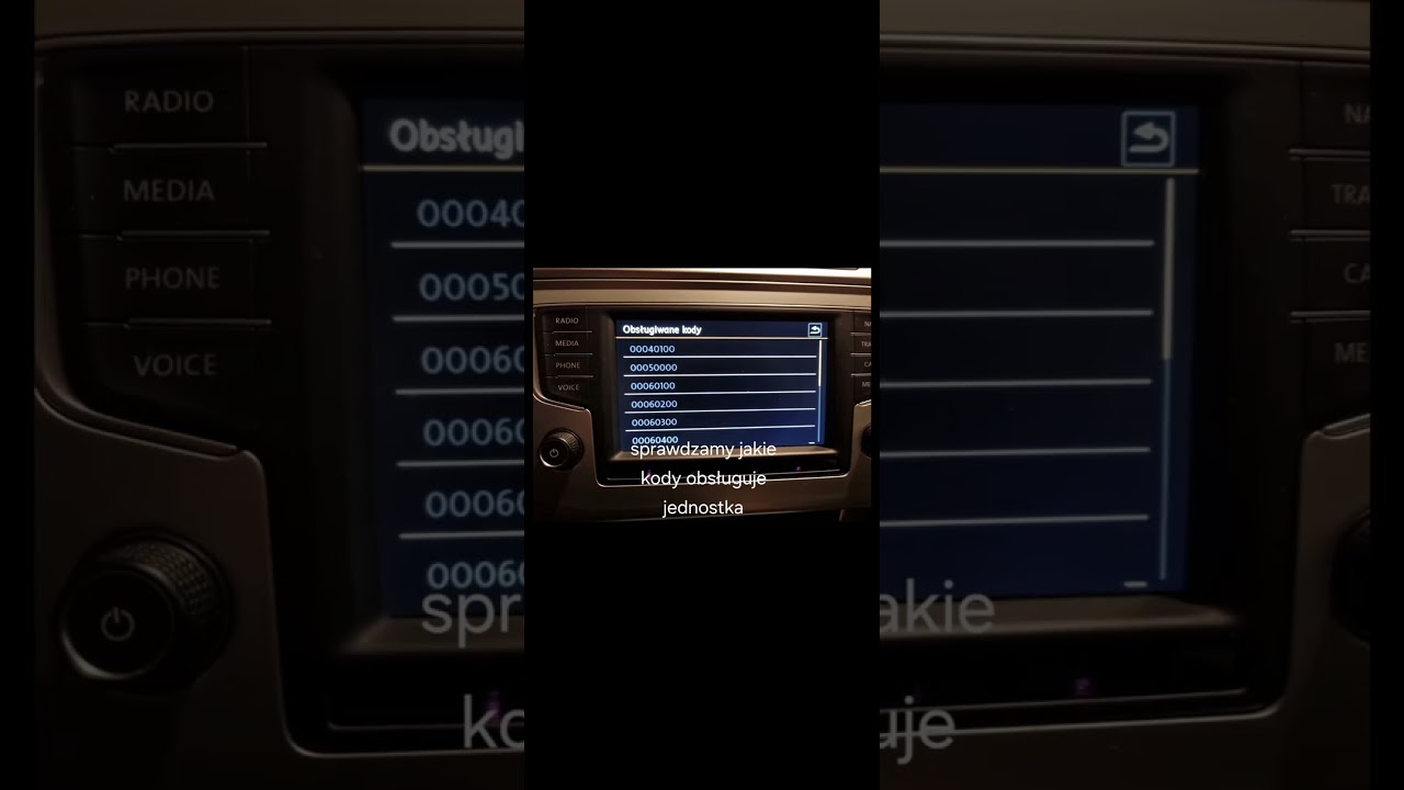 Mib2 Delphi aktywacja #appconnect  #performance  #voicecontrol