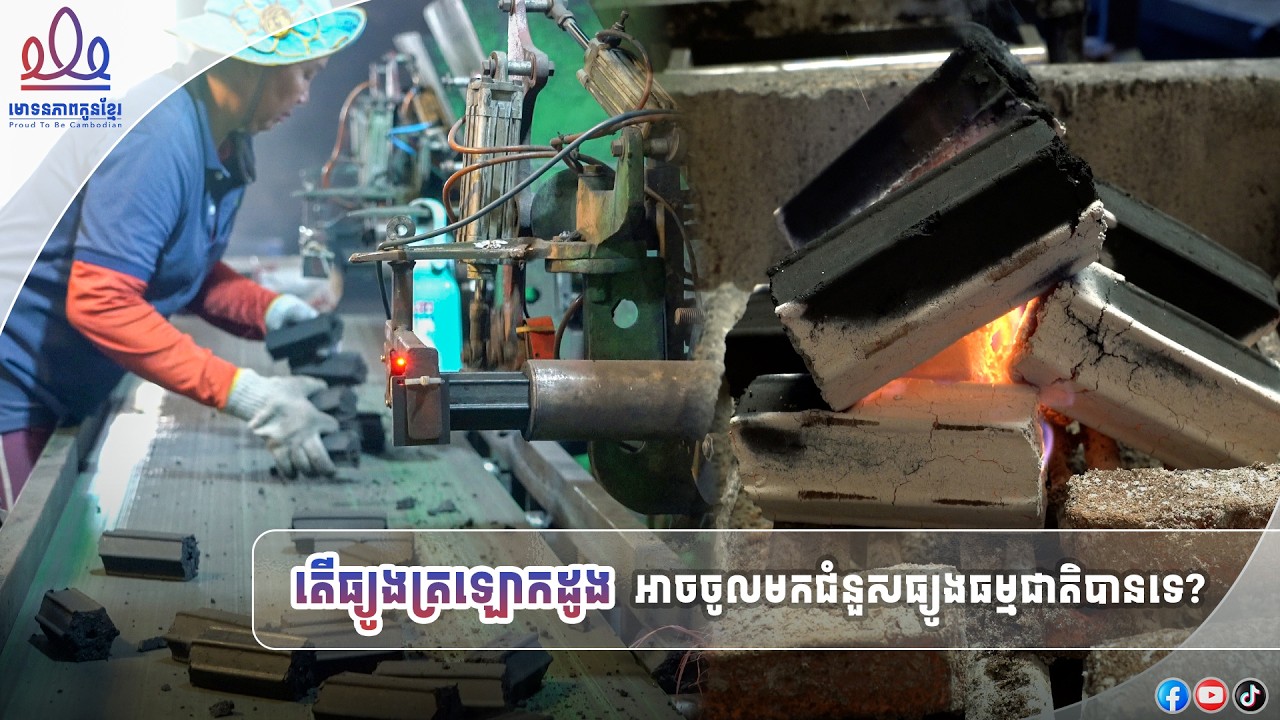 តើធ្យូងត្រឡោកដូង អាចចូលមកជំនួសធ្យូងធម្មជាតិបានទេ?