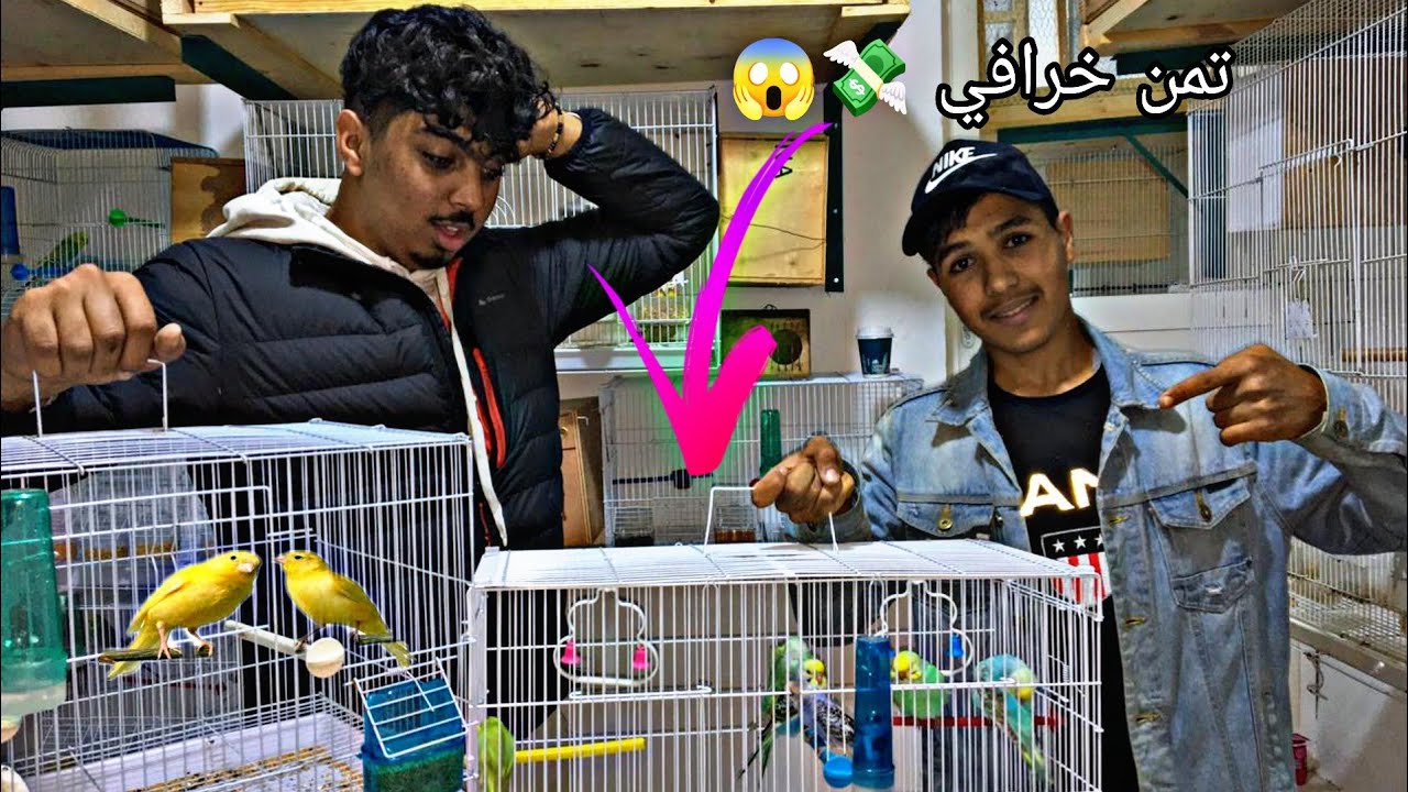 إشتريت أزيد من 10 طيور 🦜 من متابعيني😍 ( شاهد كم صرفت 😱💸)