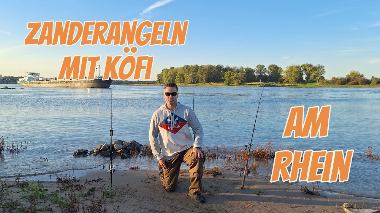 Zanderangeln mit K&ouml;derfisch am Rhein #zander #angeln #rhein 