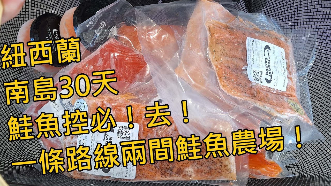 | 2025南島30天自駕旅行 | EP3 | 鮭魚控一次去兩個鮭魚農場