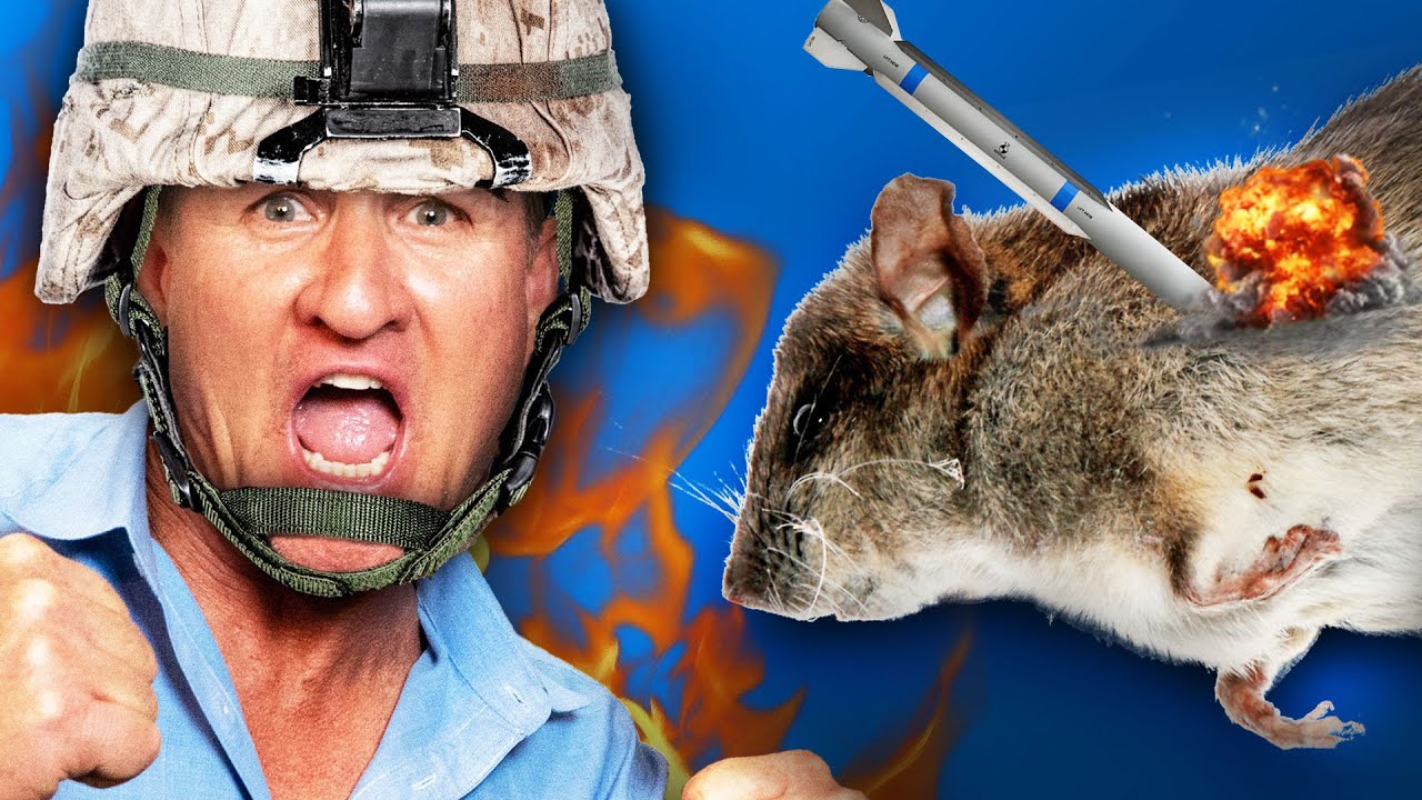 How to GET RID OF RATS in your kitchen...FAST! RAT WARZONE!!