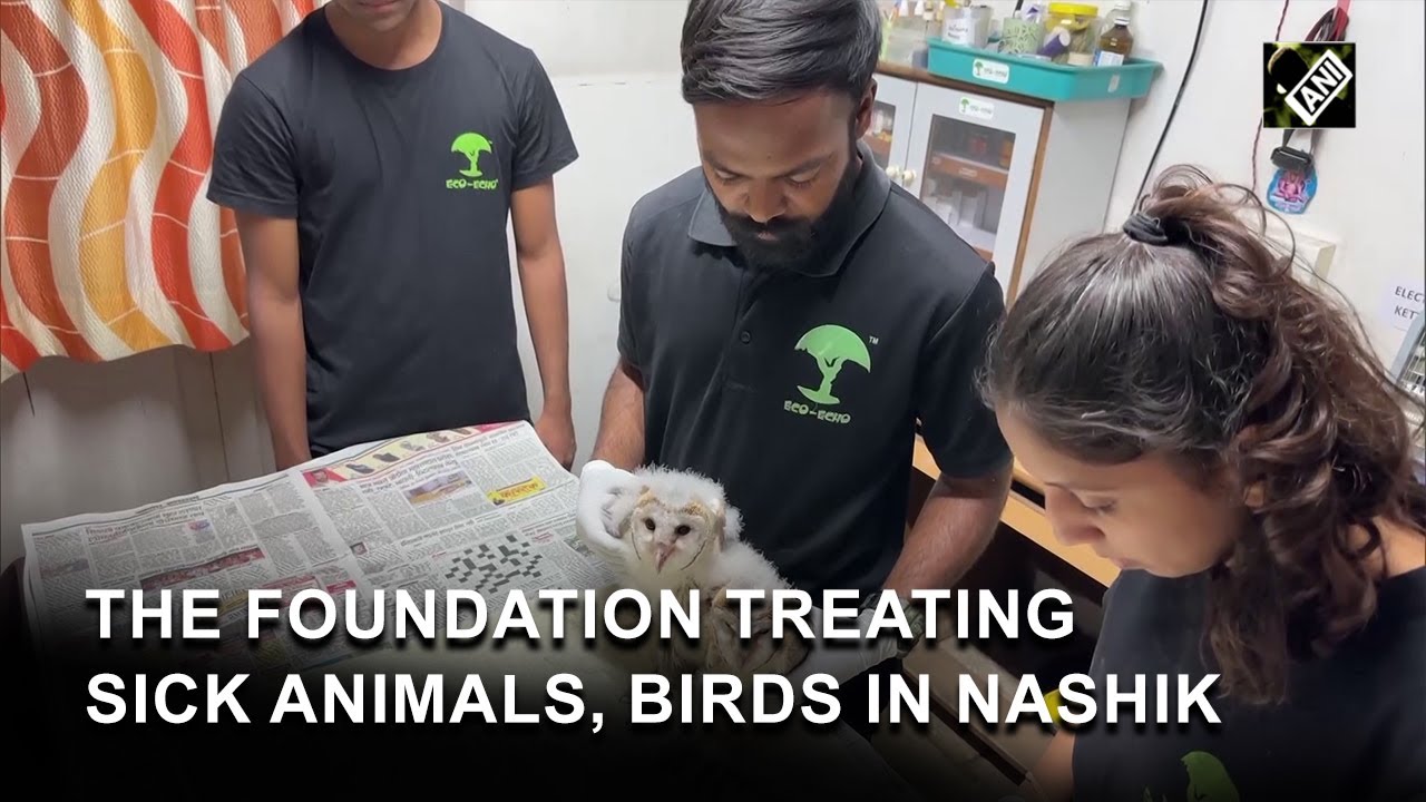 Maharashtra: Forest dept, Eco Echo Foundation saves birds, animals at Nashik