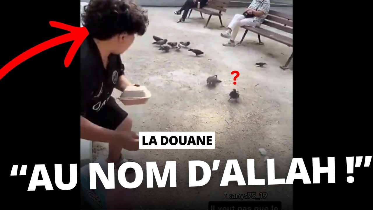 La douane agresse des pigeons islamophobe au Canal st-martin !