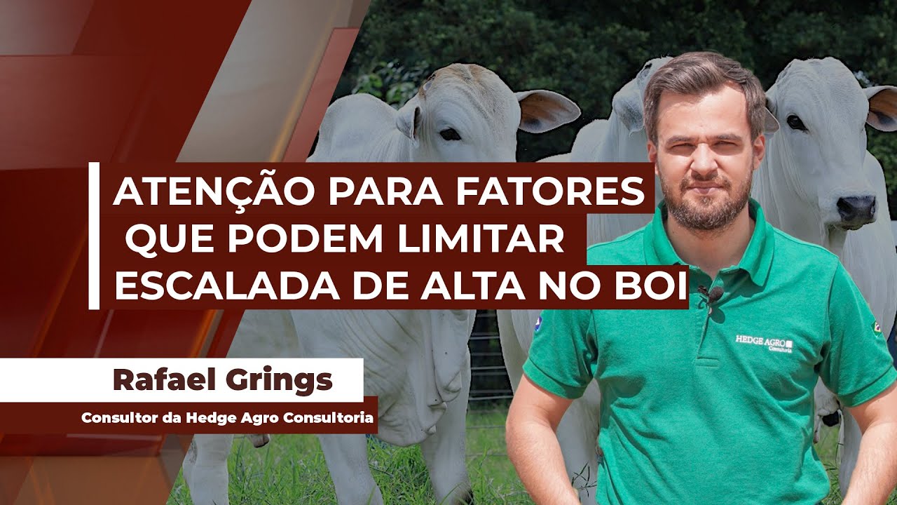 Elevação rápida da arroba do boi gera efeitos colaterais, tanto na demanda quanto na oferta...