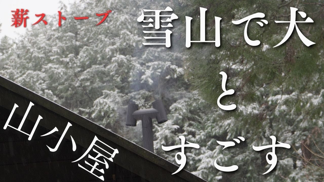 雪山で愛犬との休日 ＃田舎＃ラブラドール＃田舎暮らし#labradorretriever #散歩 #薪ストーブ