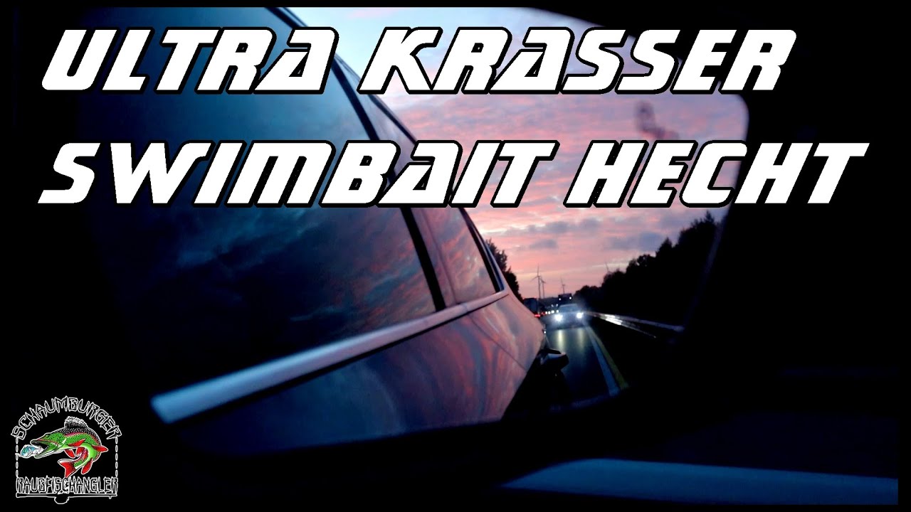 Ultra krasser Swimbait Hecht auf unserer NL Reise🤑