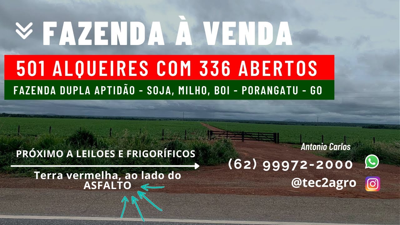 [🚜DUPLA APTIDÃO🐄] Fazenda a venda em Goiás Porangatu 501 Alqueires [🌱Soja e Gado] #vendadefazenda