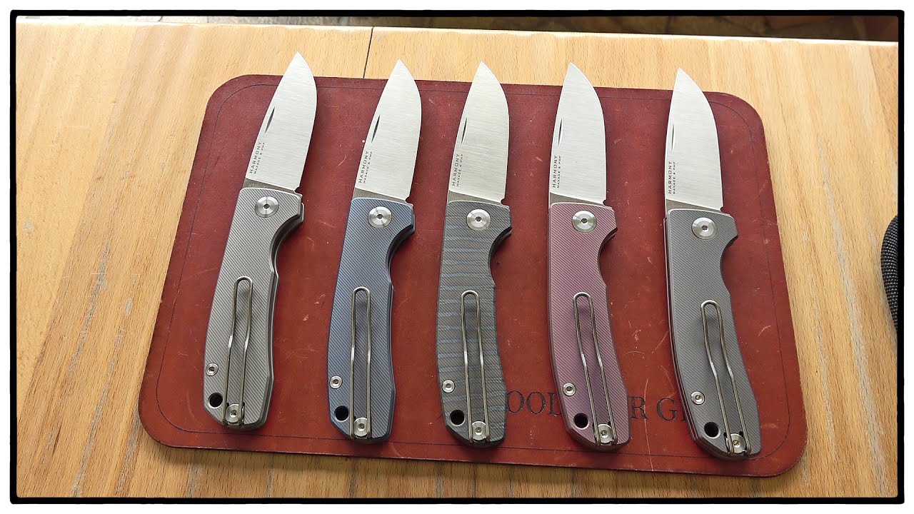 Maxace PMP 