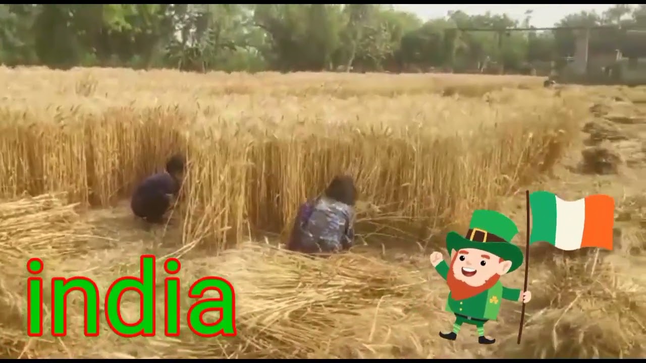 Dheshi boy /Comedy mix l k #akashlallukheda