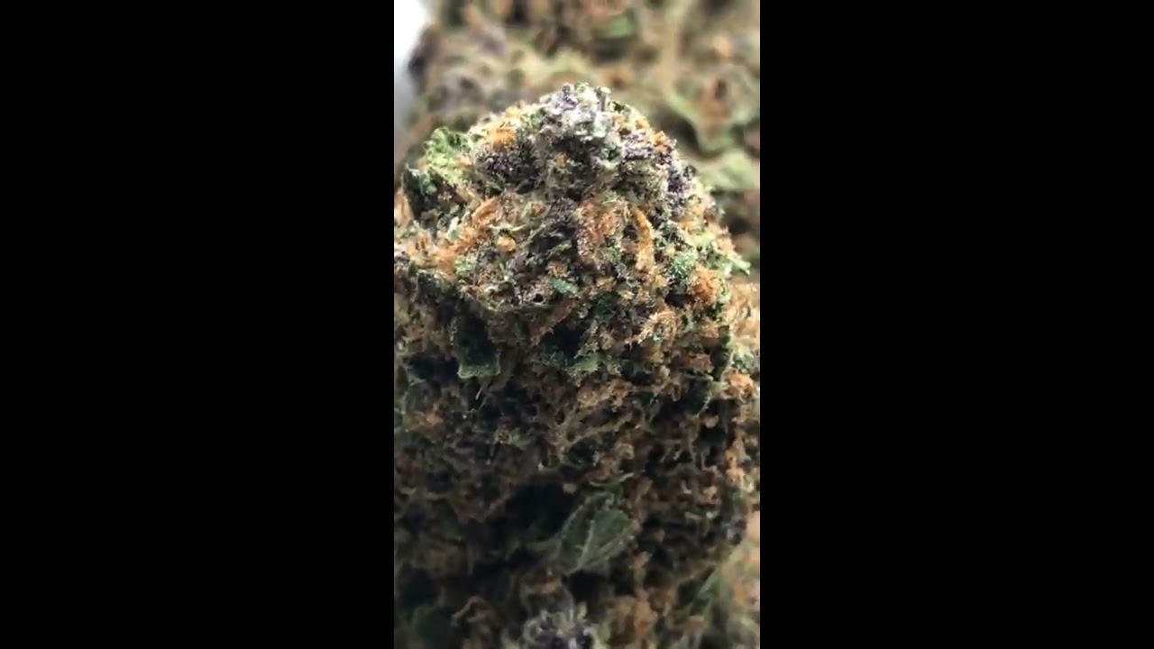 Forbidden fruit