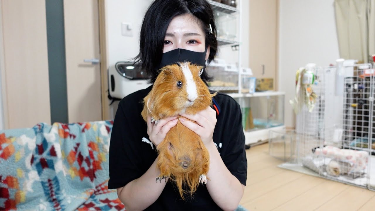 モルモット美容室barberこうちゃ開店！
