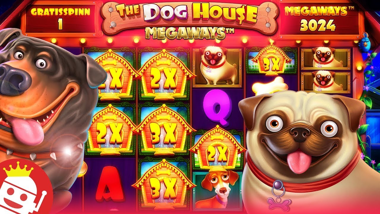 The Dog House Big win casino Tunisie بونيس عالمي🥳🥳🥳
