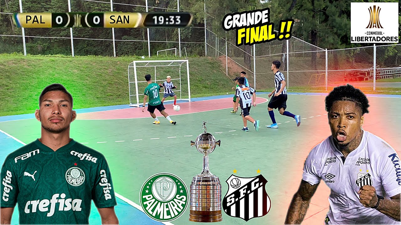 FINAL DA LIBERTADORES PALMEIRAS vs SANTOS JOGO 5 vs 5 DESAFIOS DE FUTEBOL ‹ Rikinho ›