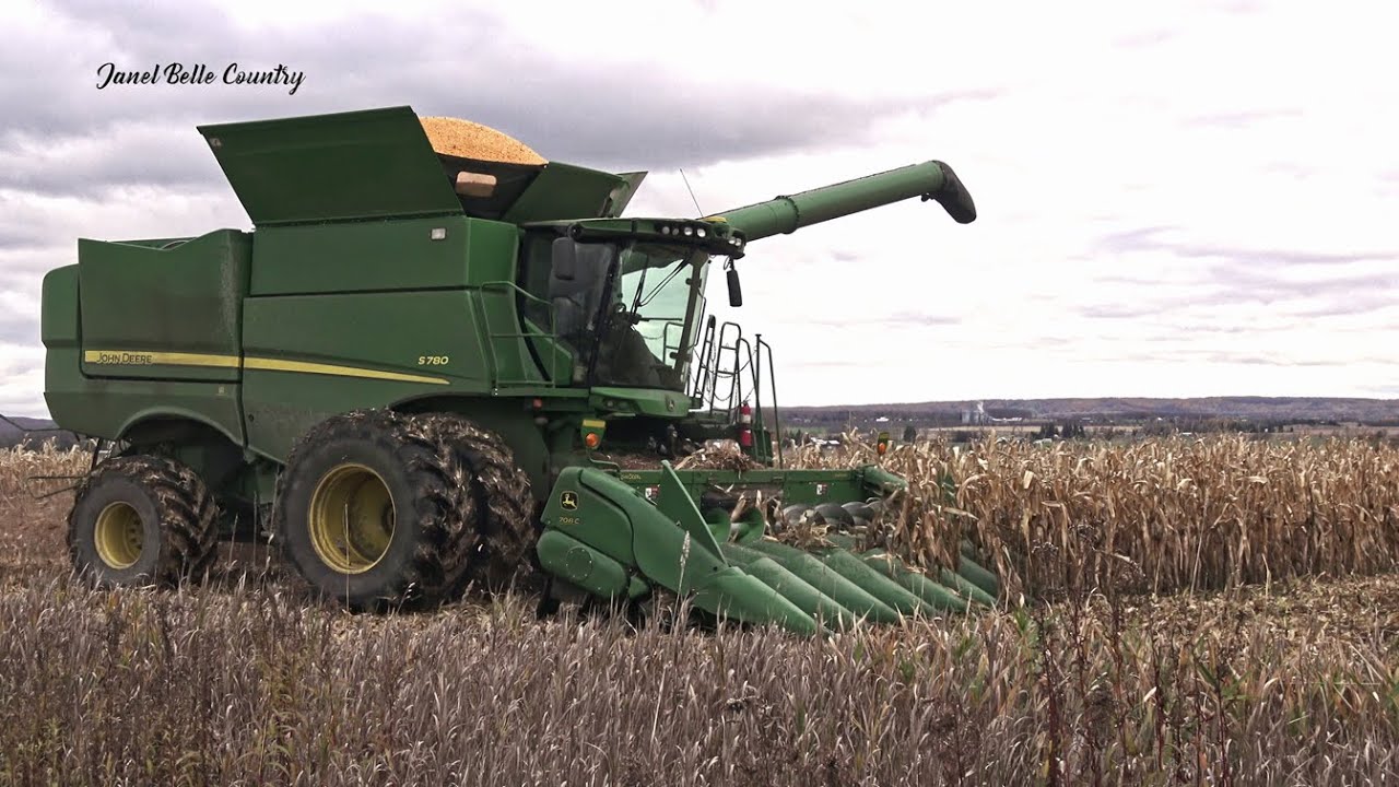 Combining Corn in #centralontariocanada - November 2025