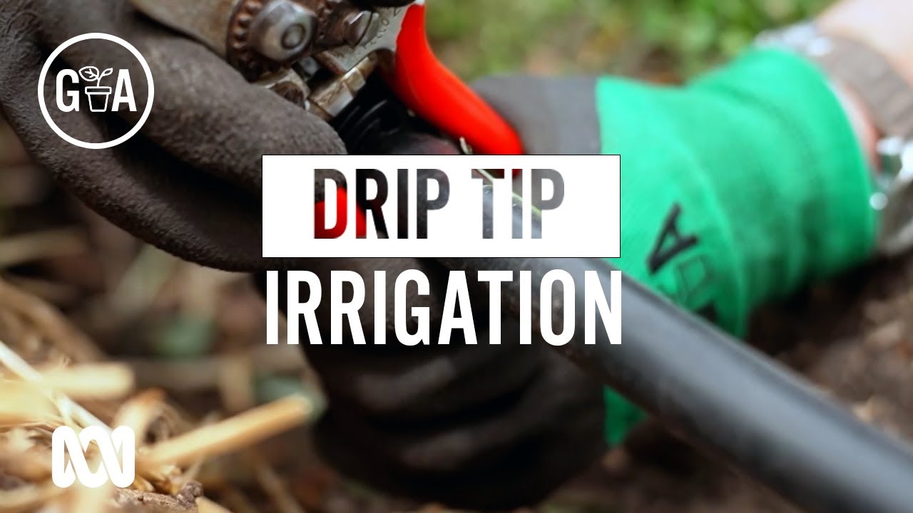 Irrigation Tips for Effective Watering | Gardening 101 | Gardening Australia