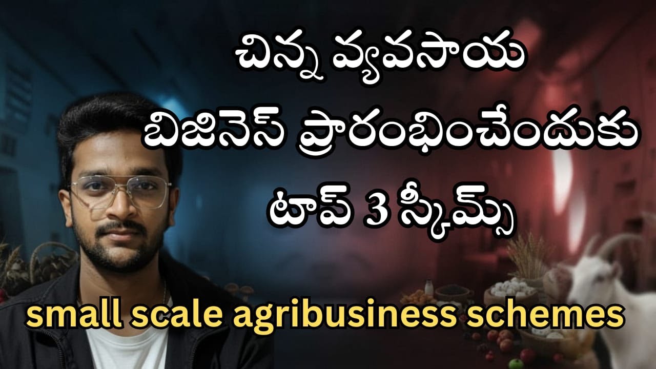 Top 3 Government Schemes for Agriculture Business in India | Subsidy + Loan | PMEGP, PM-FME, NABARD
