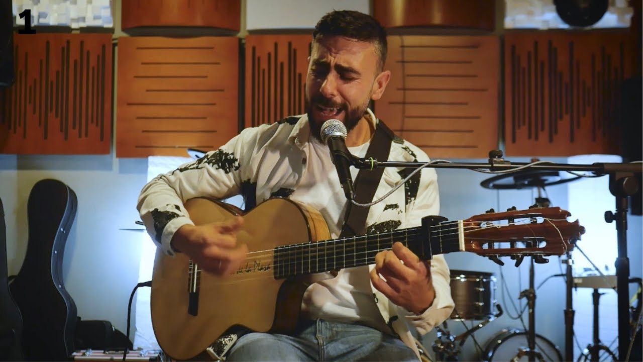 Alegría de vivir |  José de la Plaza cover 1