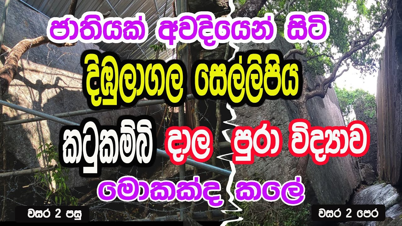 දිඹුලාගල සෙල්ලිපියට පුරා විද්‍යාව මොකද කලේ වැසුවාද ? කටු කම්බි දාල කල සෙල්ලම මොක්කද ?