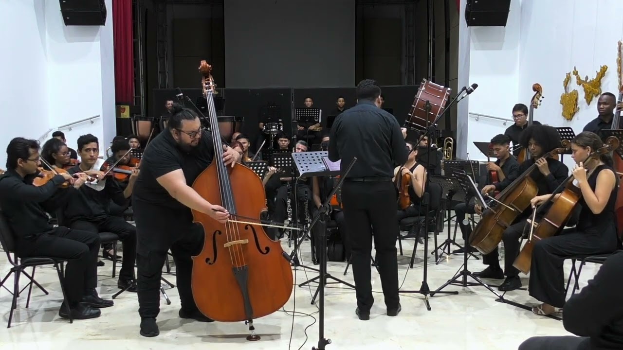 Vanhal Doublebass Concerto.