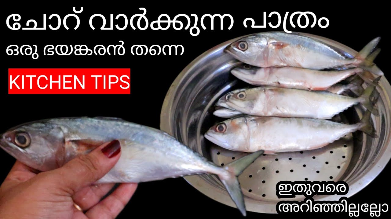 ഇനി മീൻ വാങ്ങുമ്പോൾ അരിപ്പ പാത്രത്തിൽ ഉള്ള ഈ സൂത്രം ചെയ്യാതെ പോവല്ലേ Useful Tips