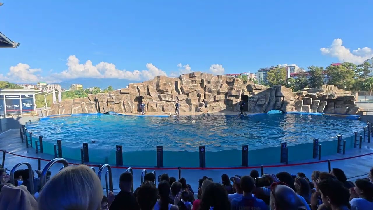 Batumi Dolphinarium