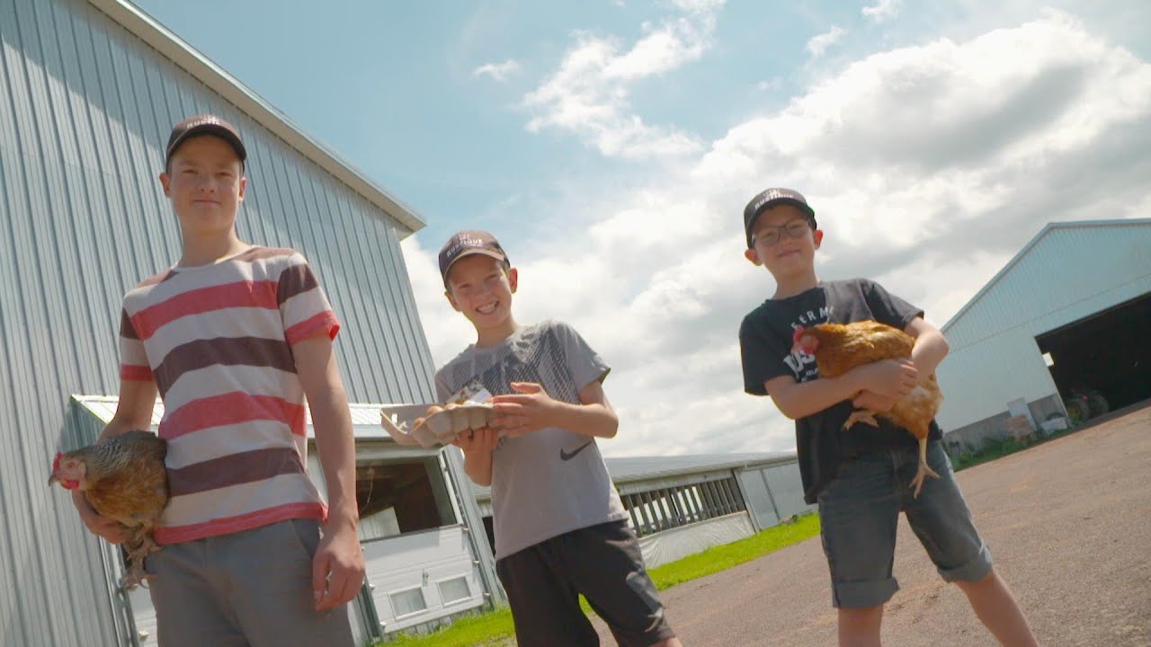 Ils sont jeunes et élèvent des poules pour en vendre les œufs