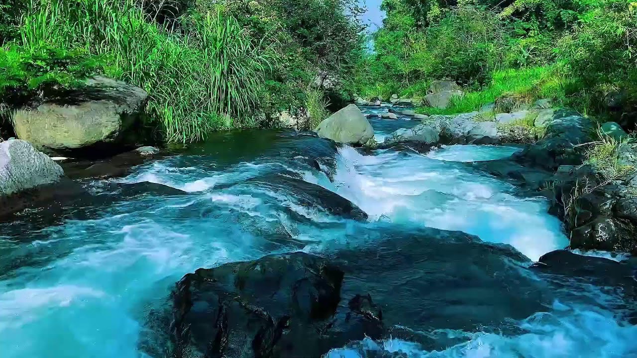 Flowing Mountain Stream Sounds, Forest River Calm Water, Sleep