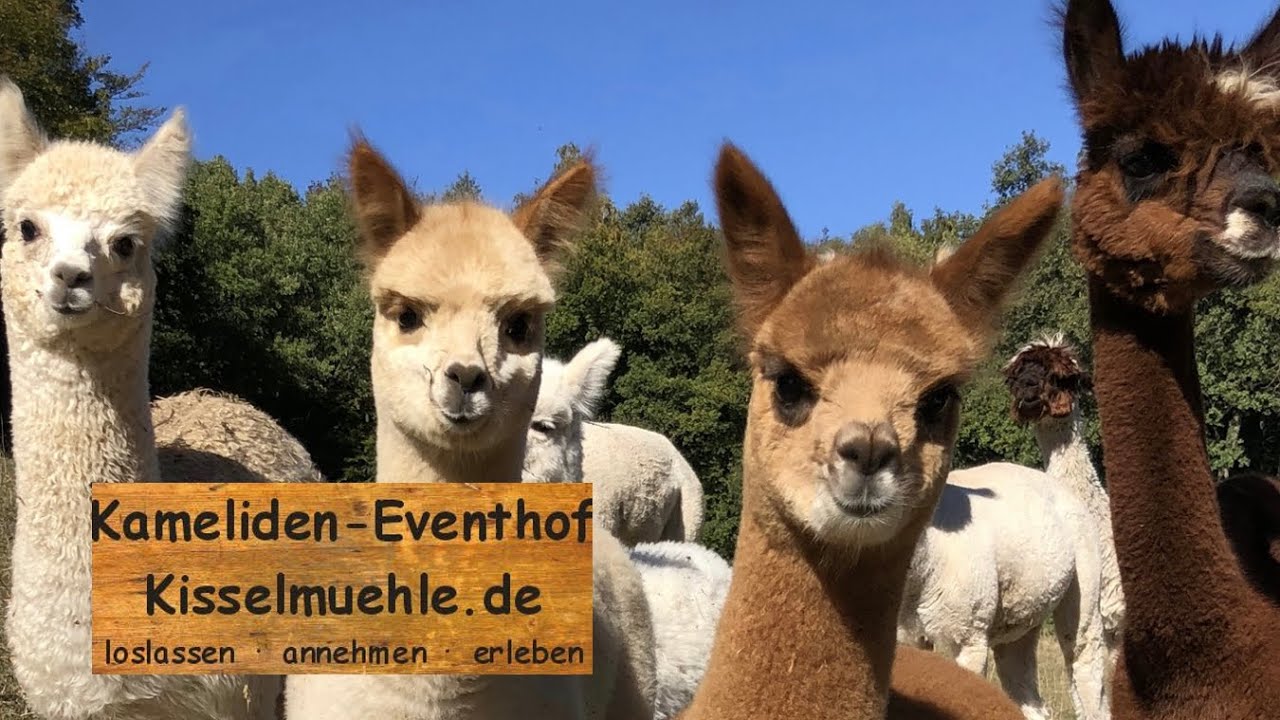 Imagefilm Eventhof Kisselmühle