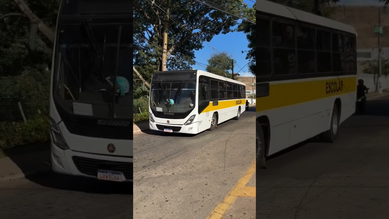 Marcopolo Torino 2014 Volvo Escolar Qualificado Conect Diesel #onibus #onibusescolar #shorts #volvo