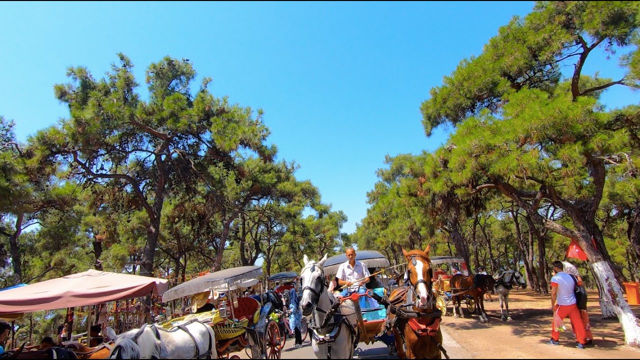 Riding horse cart in princes islands (Adalar) Istanbul in 4K