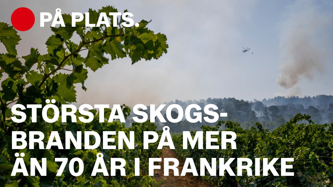 ”Brandbilarna kom aldrig, jag har förlorat allt”