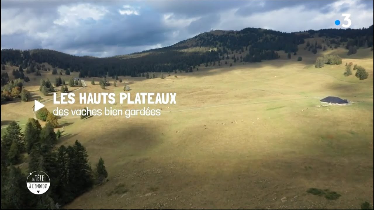 La tête à l'endroit   Saint Claude mérite t elle le titre de capitale du Haut Jura