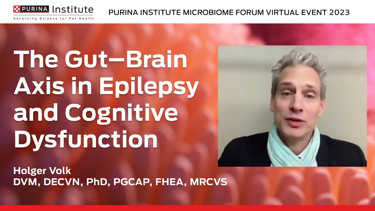 The gut-brain axis in epilepsy and cognitive dysfunction, by Holger Volk | Microbiome Forum 2023