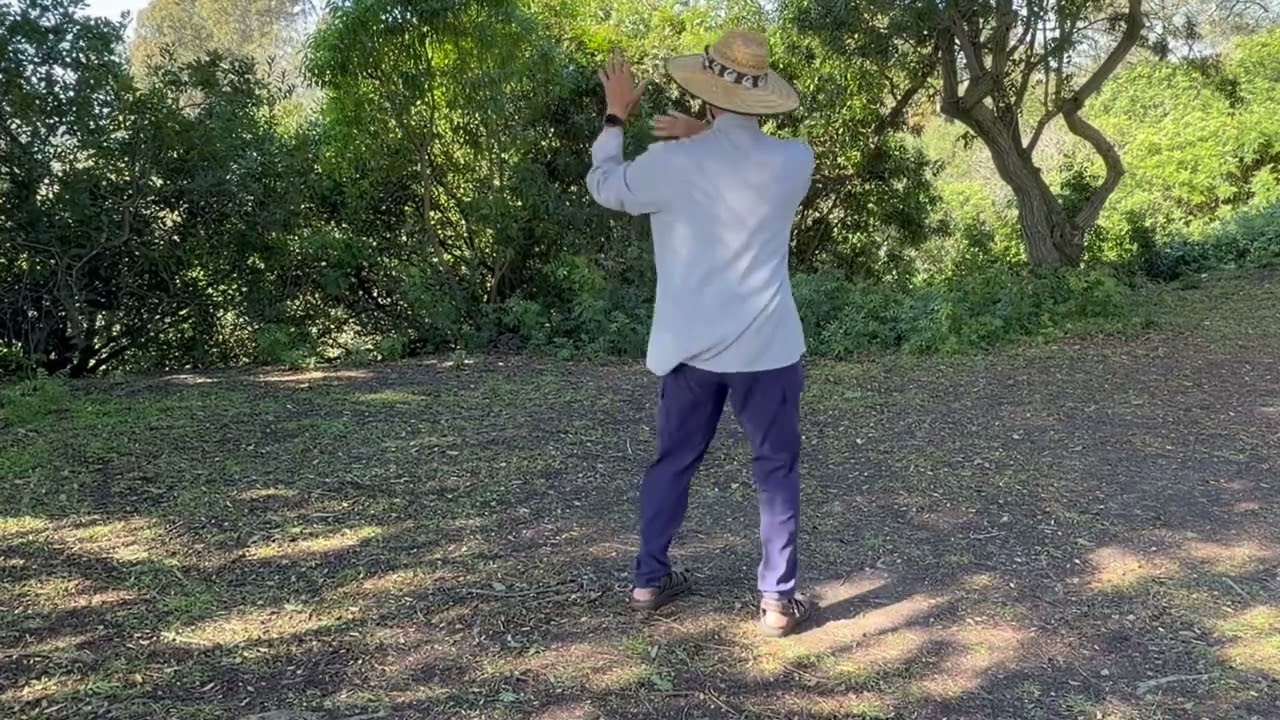 Fan Thru the Back 1
