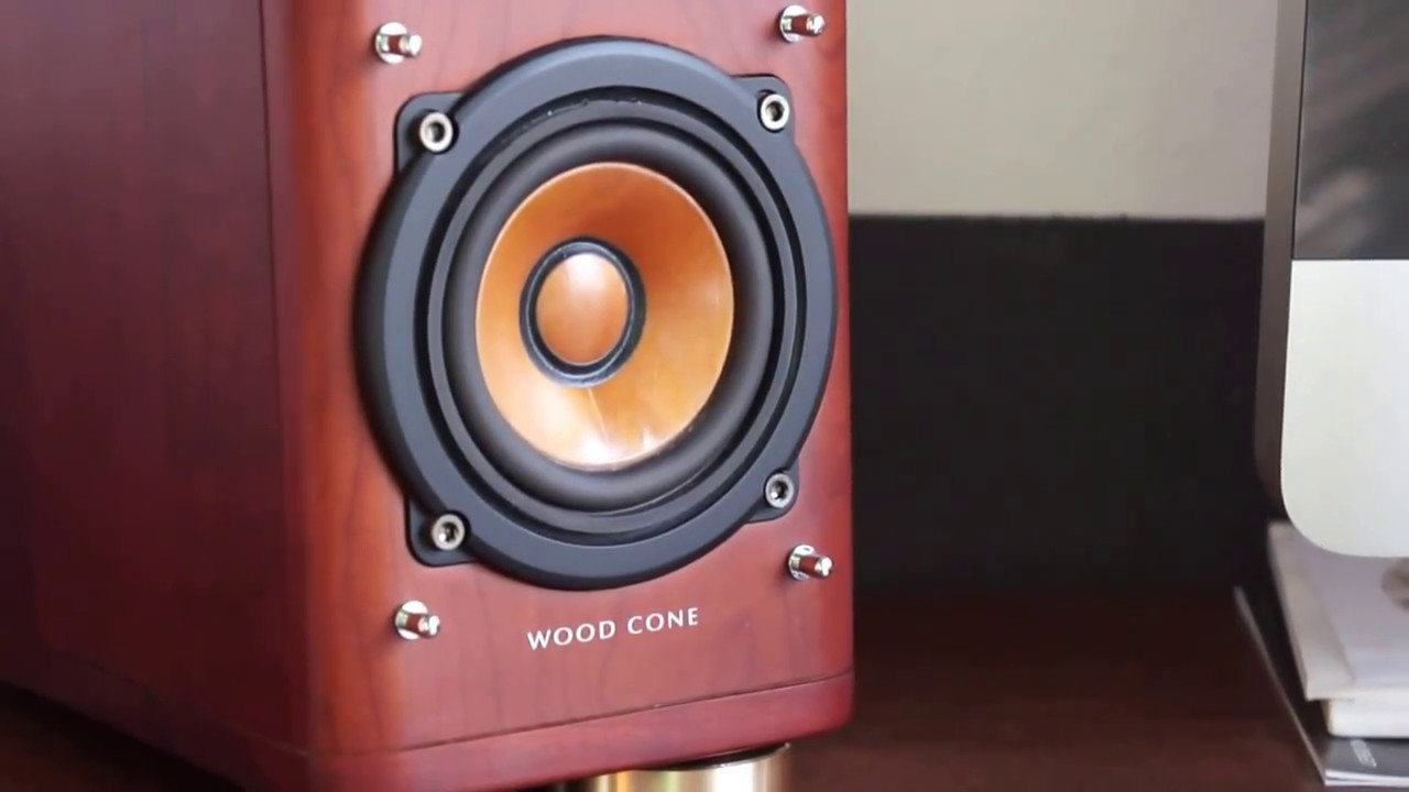 JVC SP-EXA1, Wood Cone