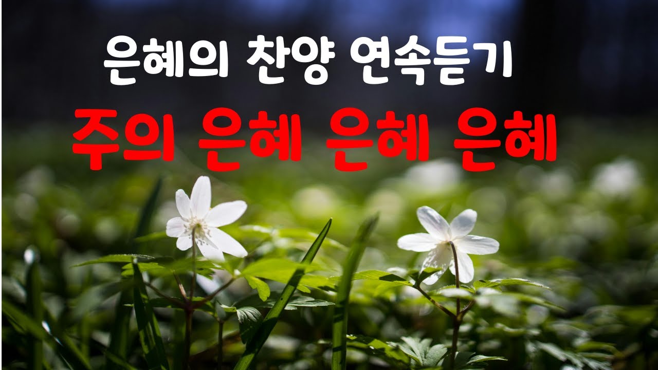 [은혜찬양] 주의 은혜 은혜 은혜  #고전15:10